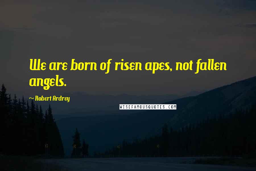 Robert Ardrey Quotes: We are born of risen apes, not fallen angels.