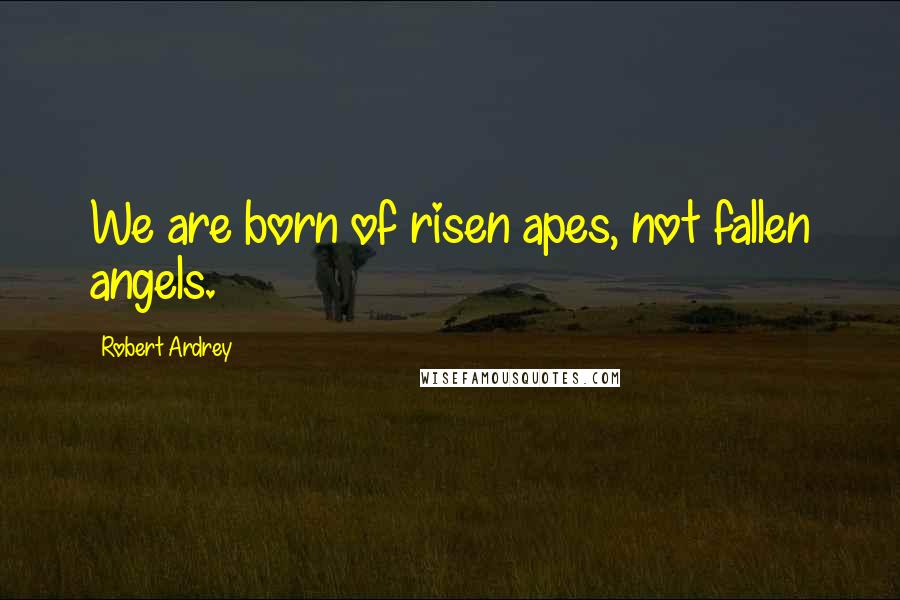 Robert Ardrey Quotes: We are born of risen apes, not fallen angels.