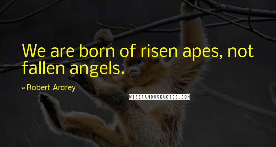 Robert Ardrey Quotes: We are born of risen apes, not fallen angels.