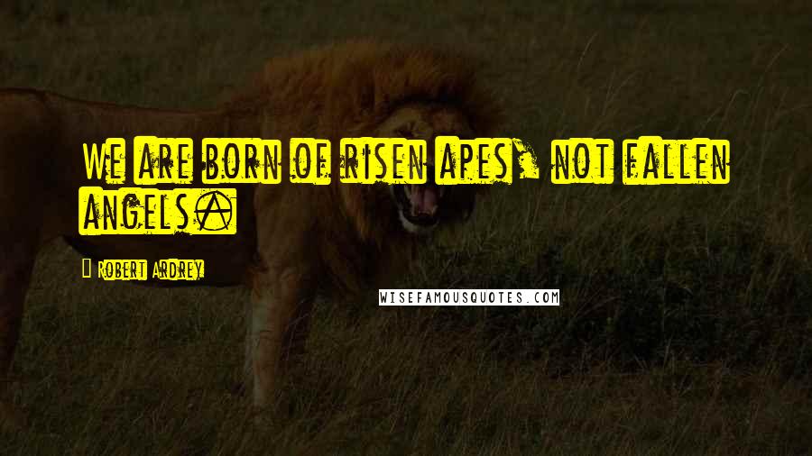 Robert Ardrey Quotes: We are born of risen apes, not fallen angels.