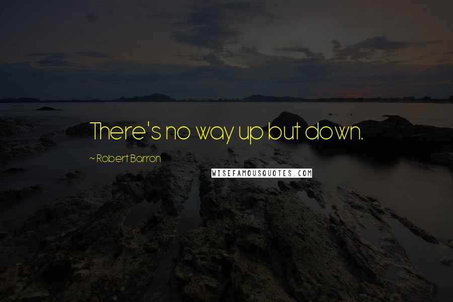 Robert Barron Quotes: There's no way up but down.