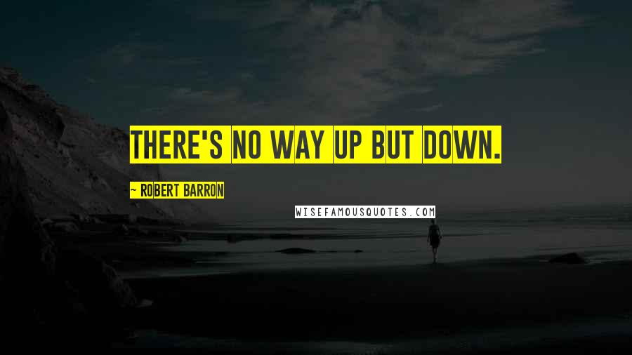 Robert Barron Quotes: There's no way up but down.