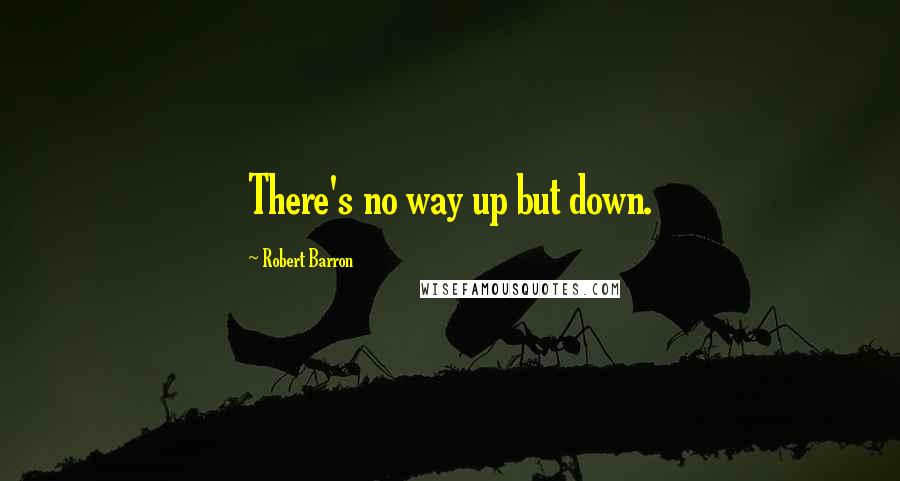 Robert Barron Quotes: There's no way up but down.