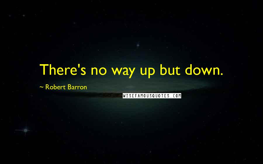 Robert Barron Quotes: There's no way up but down.