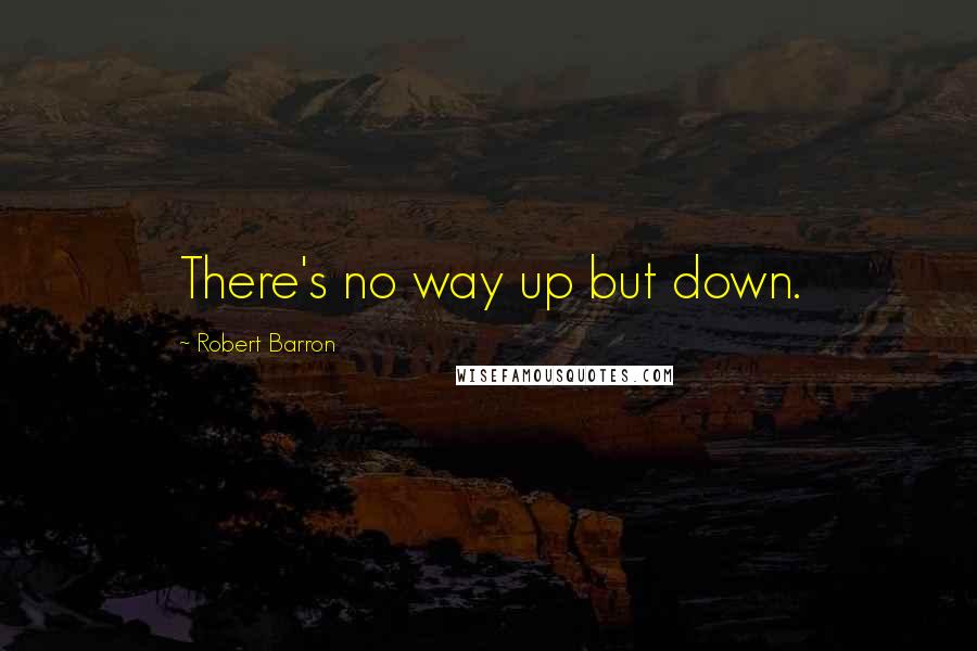 Robert Barron Quotes: There's no way up but down.