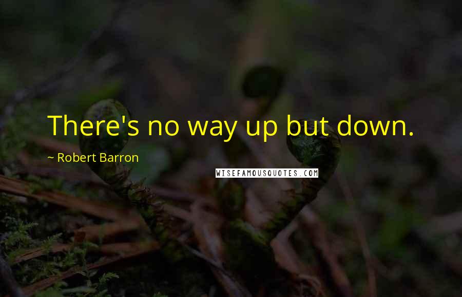 Robert Barron Quotes: There's no way up but down.