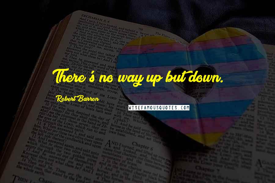 Robert Barron Quotes: There's no way up but down.