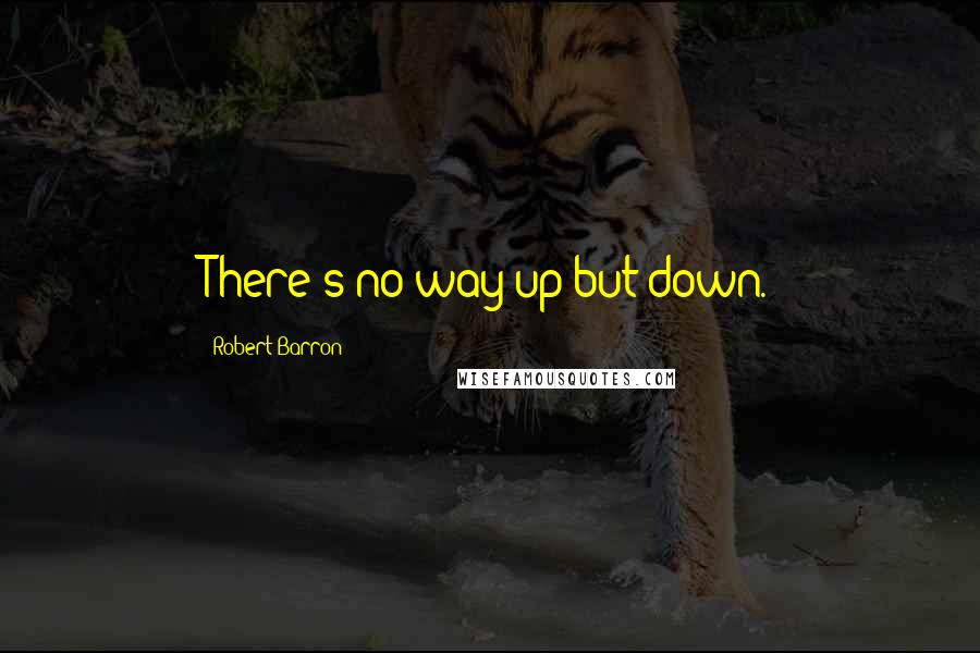 Robert Barron Quotes: There's no way up but down.