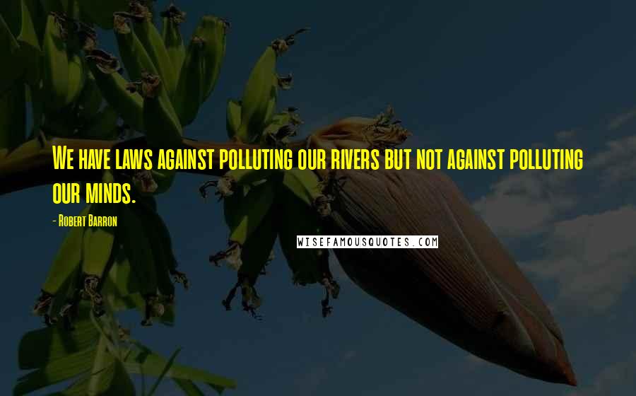 Robert Barron Quotes: We have laws against polluting our rivers but not against polluting our minds.