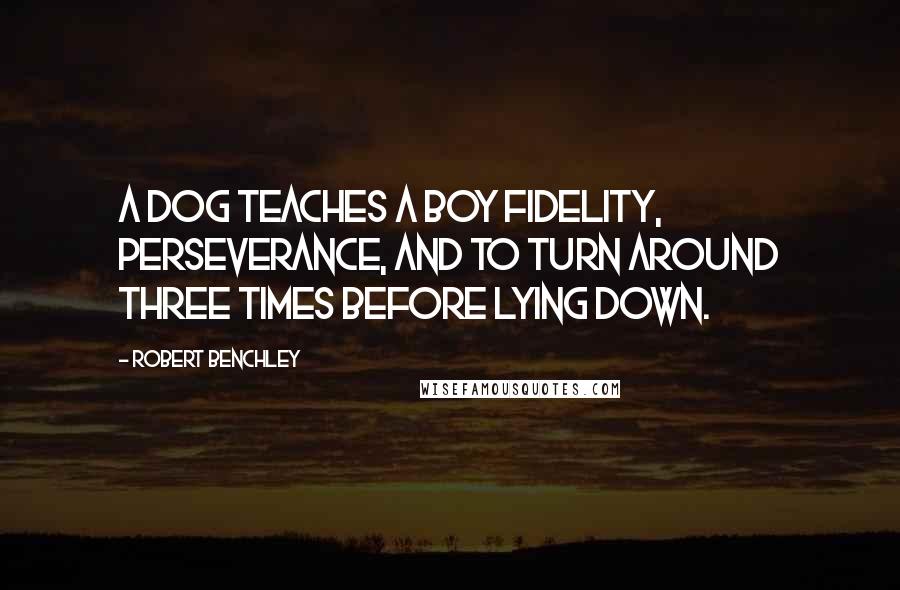 Robert Benchley Quotes: A dog teaches a boy fidelity, perseverance, and to turn around three times before lying down.