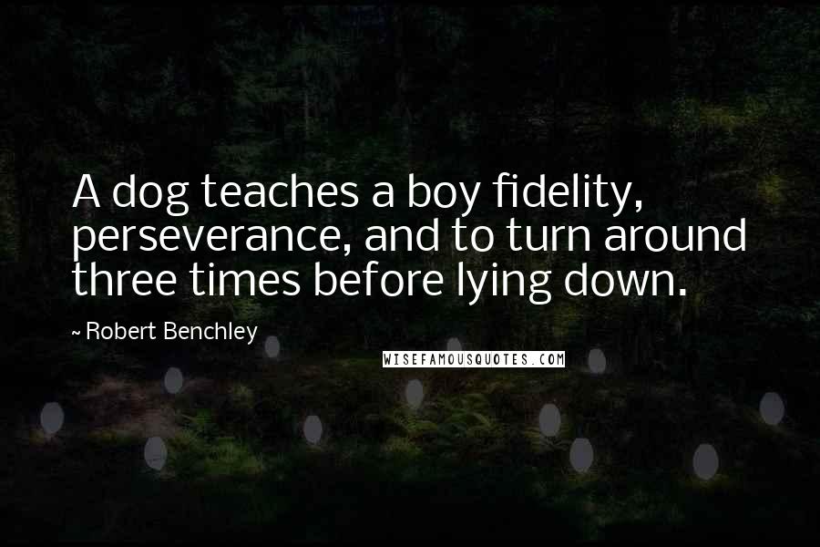 Robert Benchley Quotes: A dog teaches a boy fidelity, perseverance, and to turn around three times before lying down.