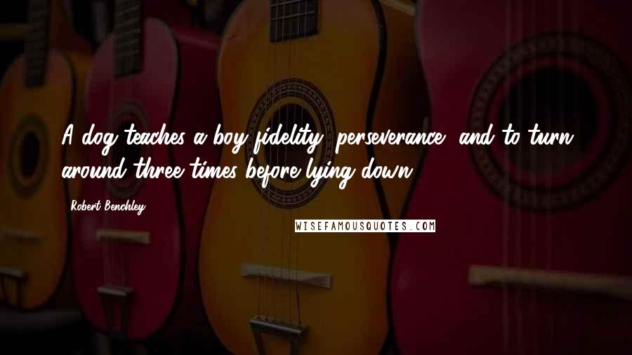 Robert Benchley Quotes: A dog teaches a boy fidelity, perseverance, and to turn around three times before lying down.