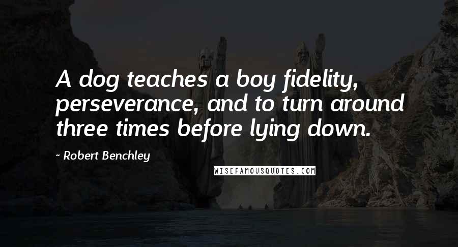 Robert Benchley Quotes: A dog teaches a boy fidelity, perseverance, and to turn around three times before lying down.