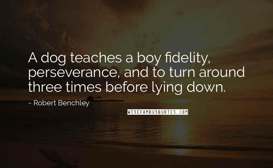 Robert Benchley Quotes: A dog teaches a boy fidelity, perseverance, and to turn around three times before lying down.