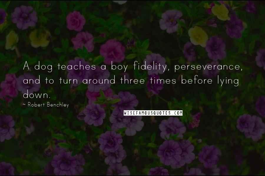 Robert Benchley Quotes: A dog teaches a boy fidelity, perseverance, and to turn around three times before lying down.