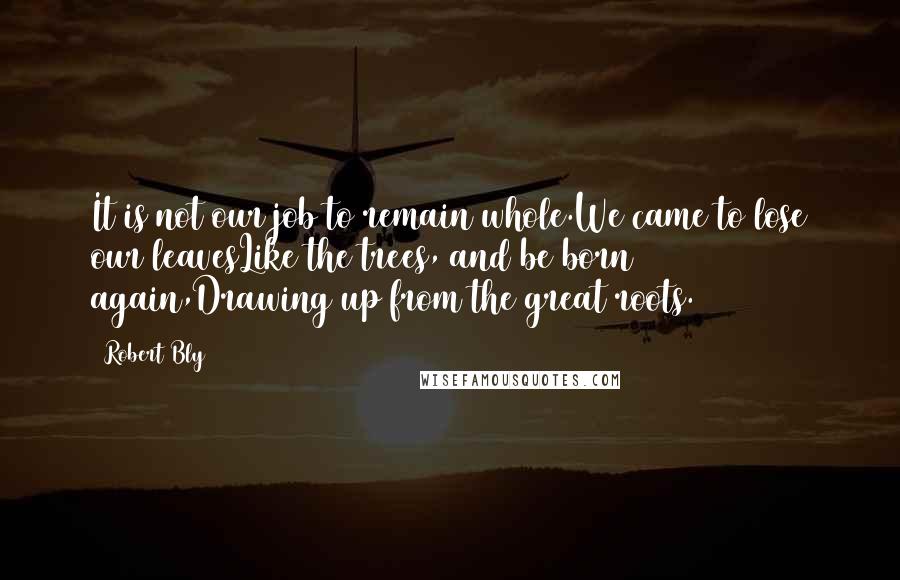 Robert Bly Quotes: It is not our job to remain whole.We came to lose our leavesLike the trees, and be born again,Drawing up from the great roots.