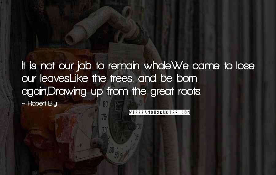 Robert Bly Quotes: It is not our job to remain whole.We came to lose our leavesLike the trees, and be born again,Drawing up from the great roots.