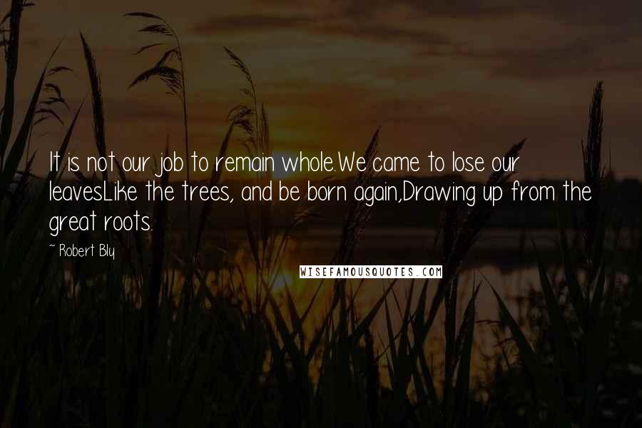 Robert Bly Quotes: It is not our job to remain whole.We came to lose our leavesLike the trees, and be born again,Drawing up from the great roots.