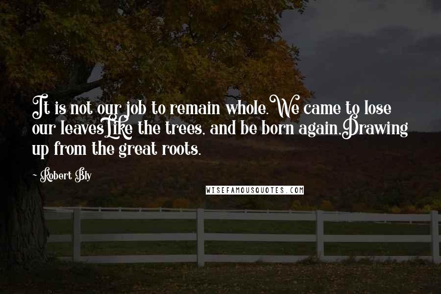 Robert Bly Quotes: It is not our job to remain whole.We came to lose our leavesLike the trees, and be born again,Drawing up from the great roots.