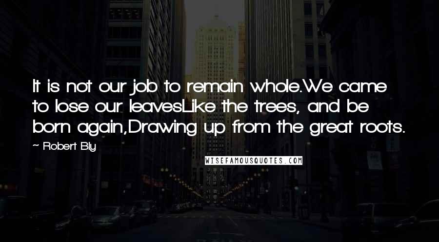 Robert Bly Quotes: It is not our job to remain whole.We came to lose our leavesLike the trees, and be born again,Drawing up from the great roots.