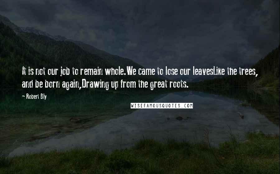 Robert Bly Quotes: It is not our job to remain whole.We came to lose our leavesLike the trees, and be born again,Drawing up from the great roots.