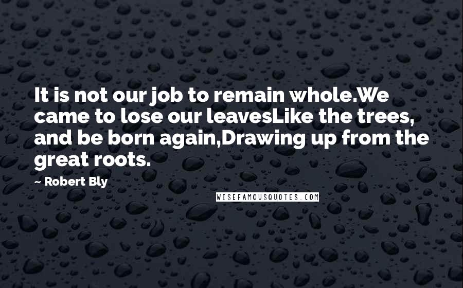 Robert Bly Quotes: It is not our job to remain whole.We came to lose our leavesLike the trees, and be born again,Drawing up from the great roots.