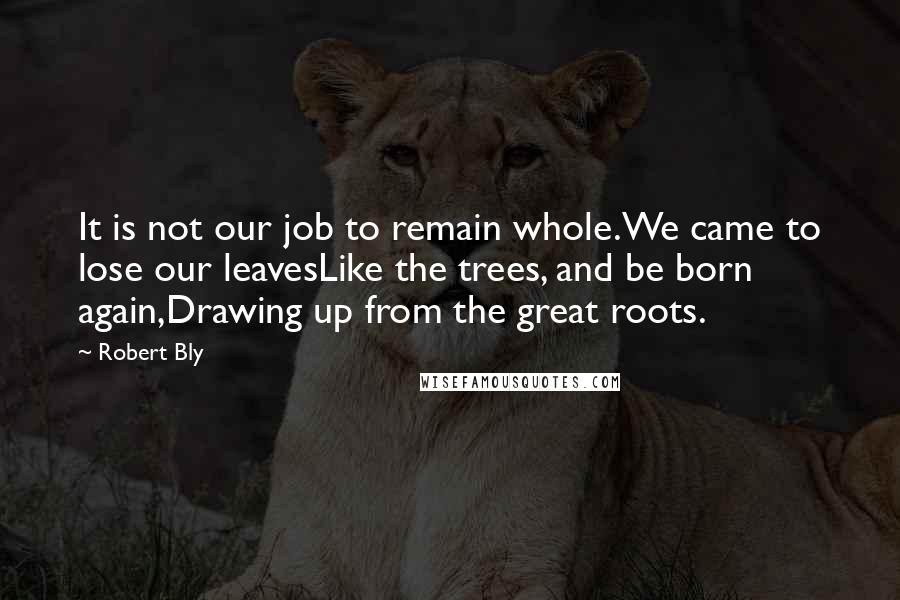 Robert Bly Quotes: It is not our job to remain whole.We came to lose our leavesLike the trees, and be born again,Drawing up from the great roots.