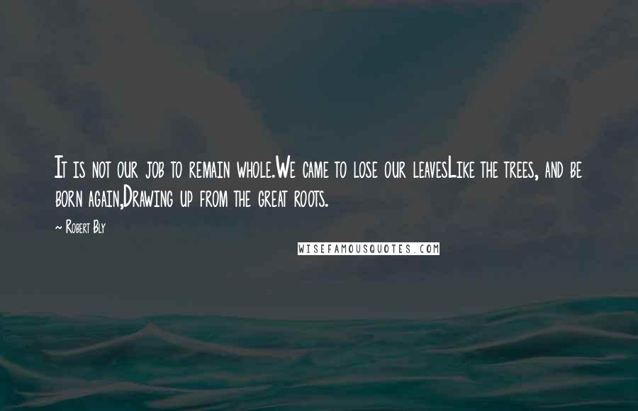 Robert Bly Quotes: It is not our job to remain whole.We came to lose our leavesLike the trees, and be born again,Drawing up from the great roots.