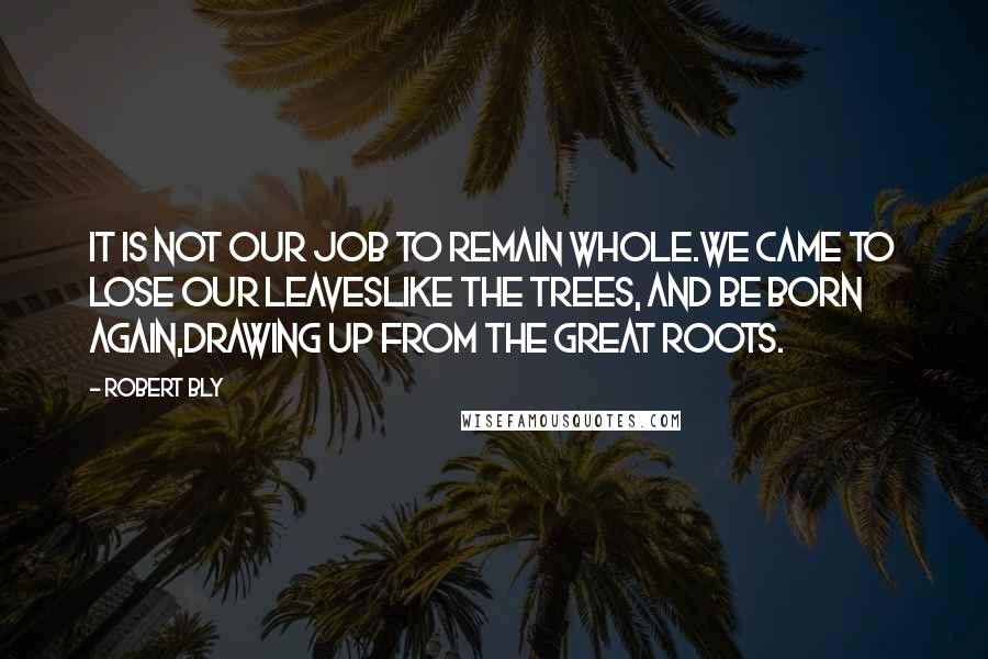 Robert Bly Quotes: It is not our job to remain whole.We came to lose our leavesLike the trees, and be born again,Drawing up from the great roots.