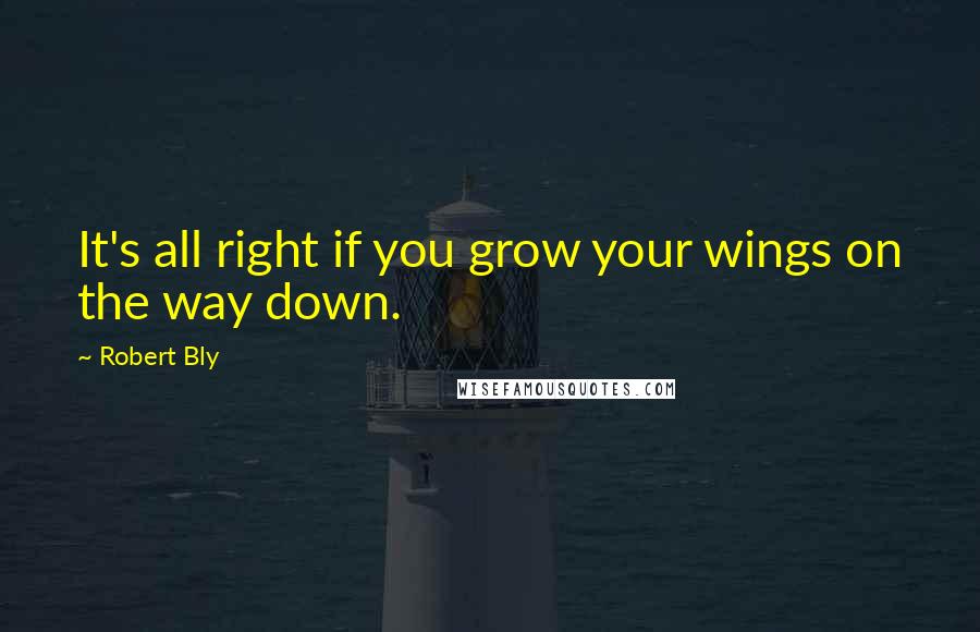 Robert Bly Quotes: It's all right if you grow your wings on the way down.