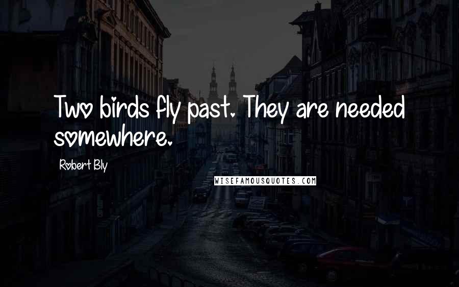 Robert Bly Quotes: Two birds fly past. They are needed somewhere.