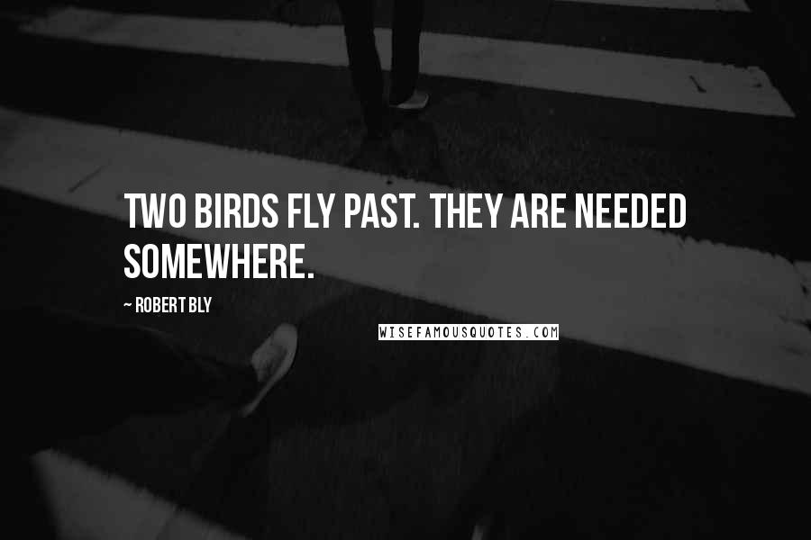 Robert Bly Quotes: Two birds fly past. They are needed somewhere.