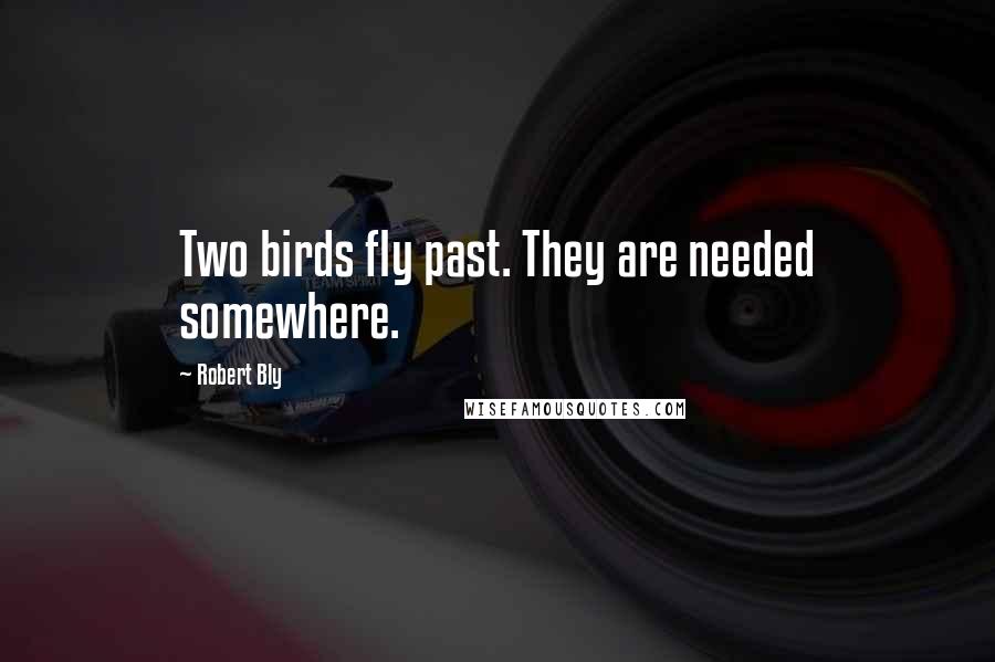 Robert Bly Quotes: Two birds fly past. They are needed somewhere.