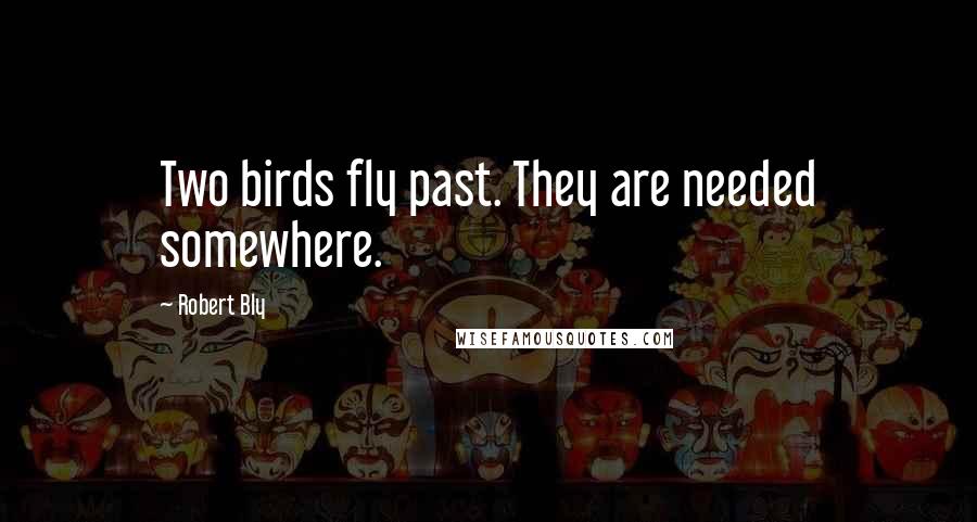 Robert Bly Quotes: Two birds fly past. They are needed somewhere.