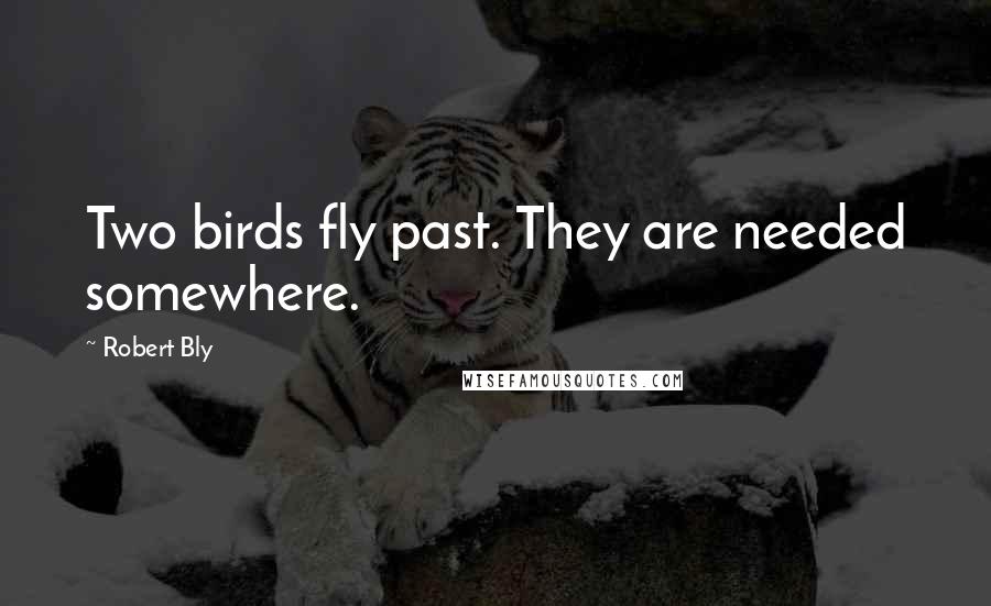 Robert Bly Quotes: Two birds fly past. They are needed somewhere.