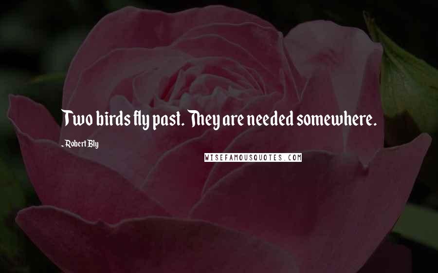 Robert Bly Quotes: Two birds fly past. They are needed somewhere.