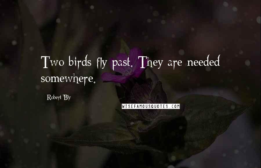 Robert Bly Quotes: Two birds fly past. They are needed somewhere.