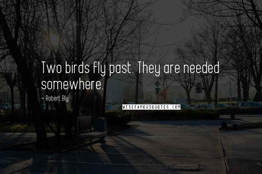 Robert Bly Quotes: Two birds fly past. They are needed somewhere.