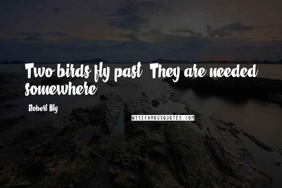 Robert Bly Quotes: Two birds fly past. They are needed somewhere.