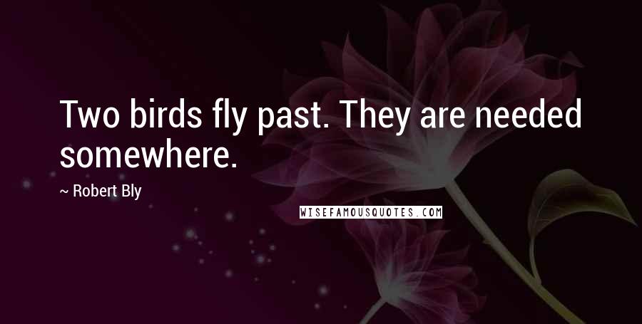 Robert Bly Quotes: Two birds fly past. They are needed somewhere.