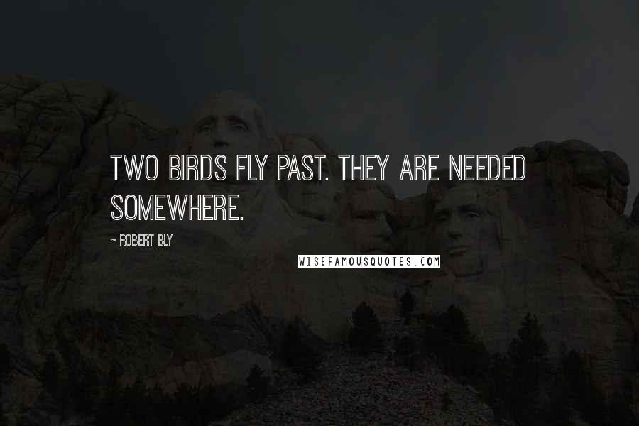 Robert Bly Quotes: Two birds fly past. They are needed somewhere.