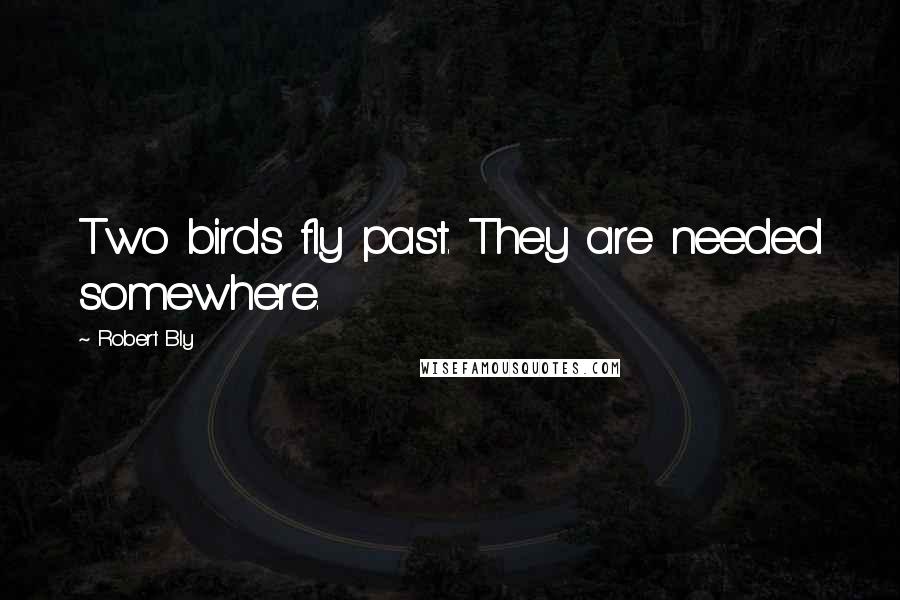 Robert Bly Quotes: Two birds fly past. They are needed somewhere.