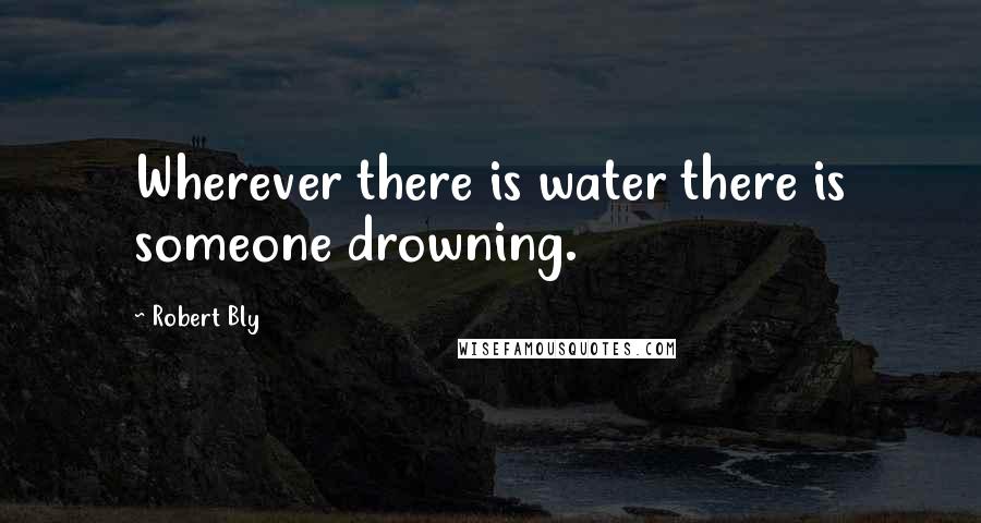 Robert Bly Quotes: Wherever there is water there is someone drowning.