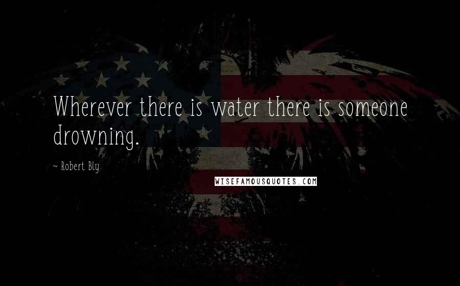 Robert Bly Quotes: Wherever there is water there is someone drowning.