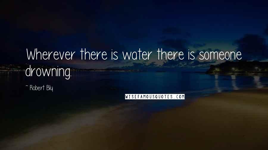 Robert Bly Quotes: Wherever there is water there is someone drowning.