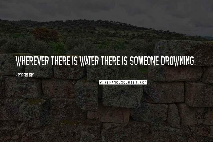 Robert Bly Quotes: Wherever there is water there is someone drowning.