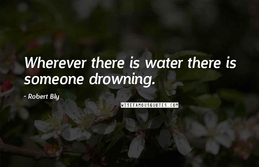 Robert Bly Quotes: Wherever there is water there is someone drowning.