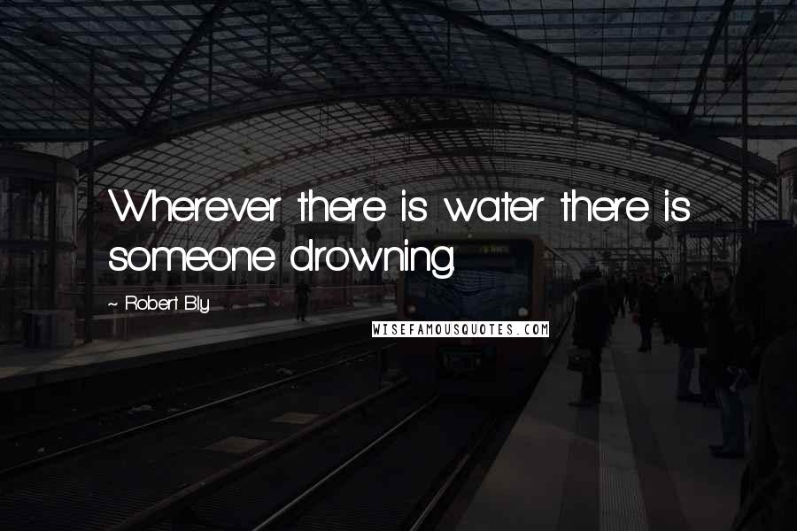 Robert Bly Quotes: Wherever there is water there is someone drowning.