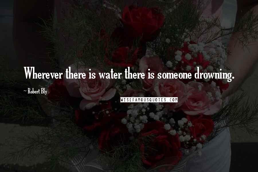 Robert Bly Quotes: Wherever there is water there is someone drowning.