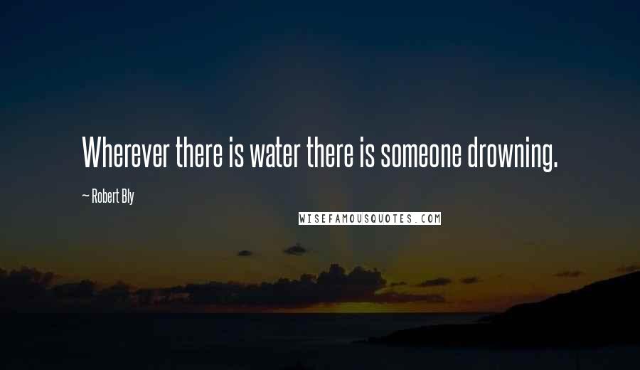 Robert Bly Quotes: Wherever there is water there is someone drowning.